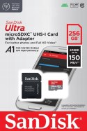Karta pamięci SDXC SanDisk 256 GB