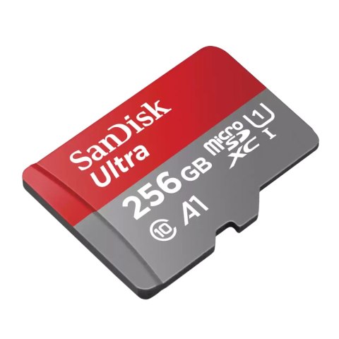 Karta pamięci SDXC SanDisk 256 GB