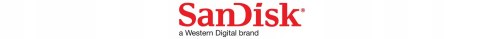 Pendrive SanDisk Ultra 256 GB USB 3.0 czarny